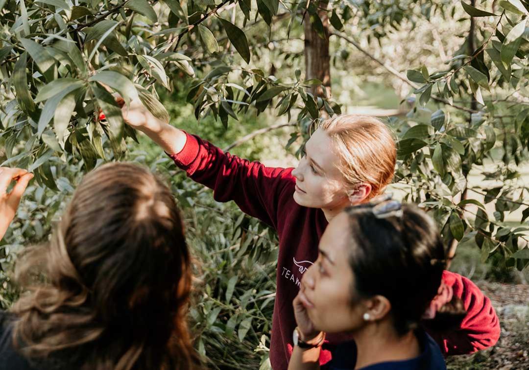 UQ environmental studies students inspect plants