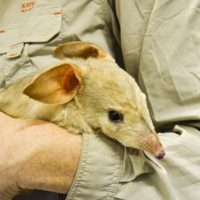 Wildlife science careers